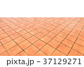 Brown ceramic floor tiles closeup texture isolated 37129271