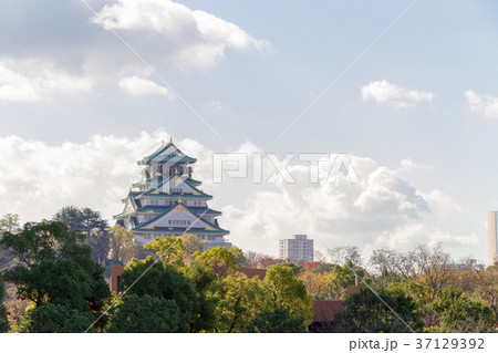大阪城 大阪城 37129392