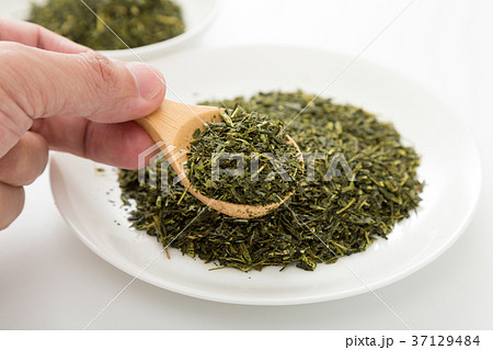 茶葉 茶葉 37129484