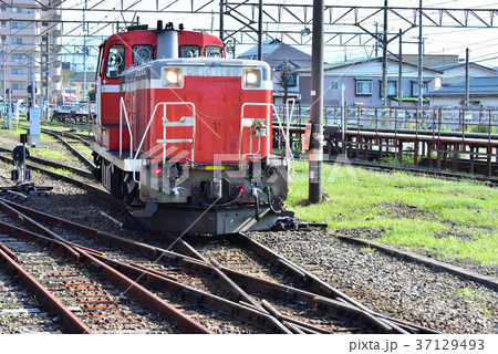 ED10  機関車 37129493