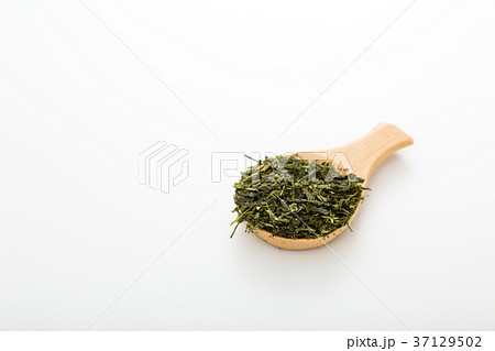 茶葉 37129502