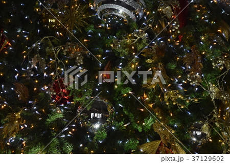 名古屋の夜景 37129602