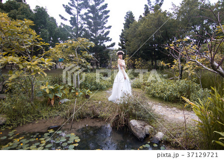 ビューティー 美 美容 37129721