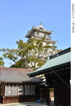 【愛媛県】今治城と吹揚神社 37129900