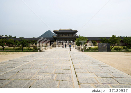 興礼門 宮殿 韓国 37129937
