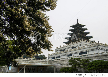 宮殿 韓国 ソウル 37129940