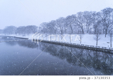 雪景色 風景 木 37130353