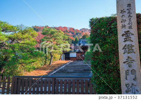 京都　霊鑑寺 37131552
