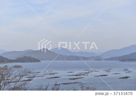 【愛媛県 宇和島市】青空と瀬戸内海 【愛媛県 宇和島市】青空と瀬戸内海 37131670