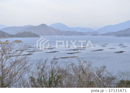 【愛媛県　宇和島市】青空と瀬戸内海 37131671