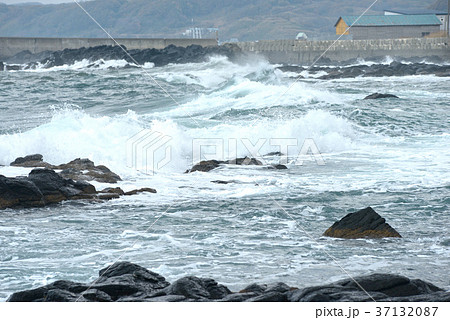 黄金岬の波濤 37132087