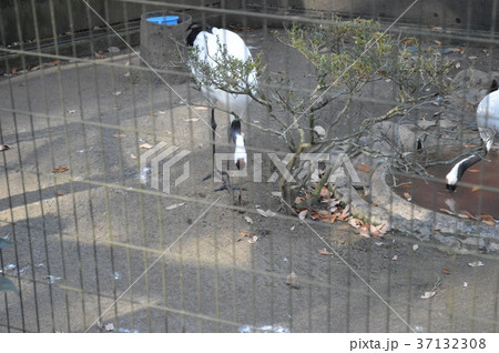 群馬の魅力 37132308