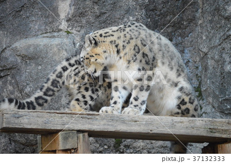 群馬の魅力 群馬の魅力 37132333