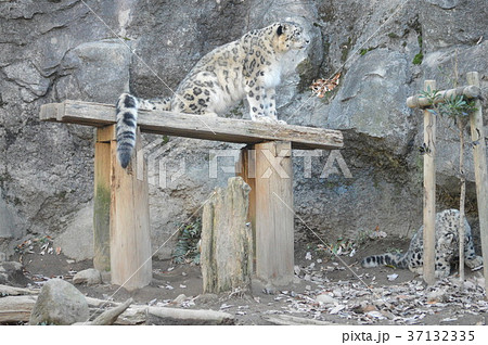 群馬の魅力 群馬の魅力 37132335