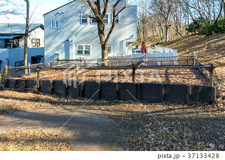 落葉集積所 37133428