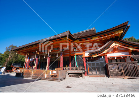 京都 八坂神社の本殿 京都 八坂神社の本殿 37133466