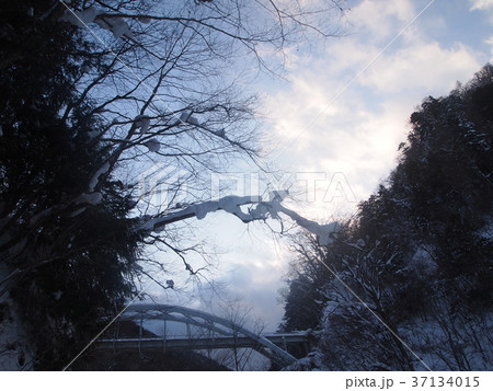 登山道からのぞく冬空 登山道からのぞく冬空 37134015