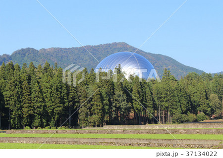 福井県立恐竜博物館 37134022