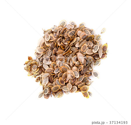 spices - fennel, dill seeds (Anethum graveolens) spices - fennel, dill seeds (Anethum graveolens) 37134193