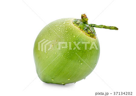 water drop green coconut isolated  37134202