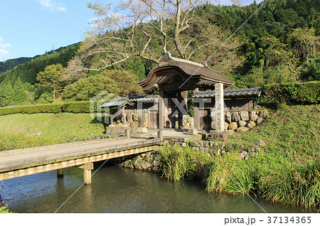 朝倉氏遺跡 37134365