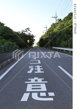 沖縄 西表島 沖縄 西表島 37134418
