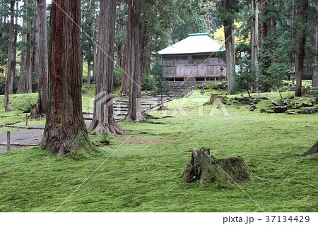 平泉寺白山神社 37134429