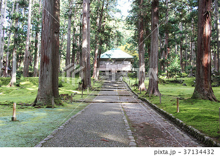 平泉寺白山神社 37134432
