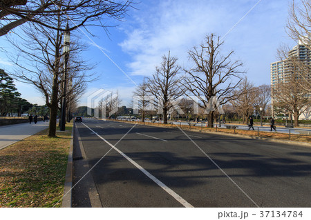 皇居外苑 37134784