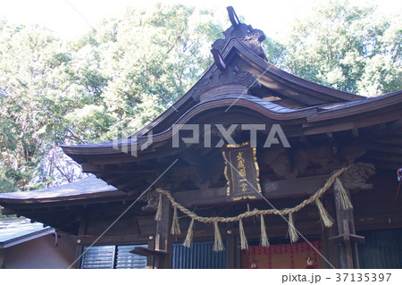 氷川女體神社 37135397