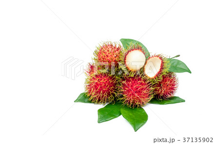 Fresh red ripe rambutan with leaves isolated Fresh red ripe rambutan with leaves isolated 37135902