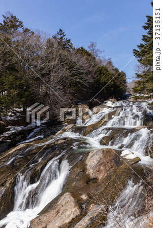 栃木県日光市　竜頭ノ滝（3月） 37136151
