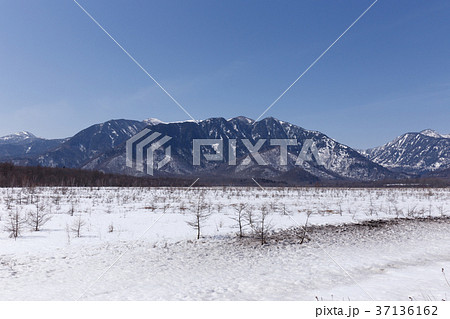 栃木県日光市 戦場ヶ原 3月 の写真素材