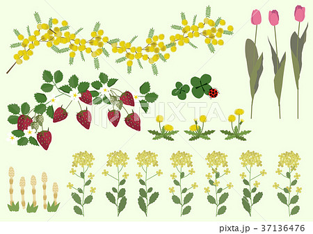 春の植物のイラスト 春の花 季節のイラスト のイラスト素材