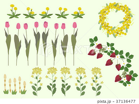 春の植物のイラスト 春の花 季節のイラスト のイラスト素材