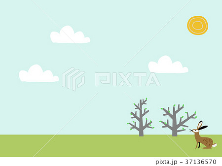 春の風景。野兎と野原のイメージ。 37136570