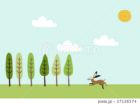 春の風景。野兎と野原のイメージ。 37136574