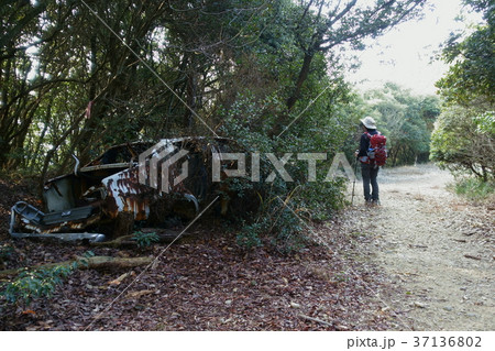 赤穂市の雄鷹台山の登山道に不法投棄された自動車 赤穂市の雄鷹台山の登山道に不法投棄された自動車 37136802
