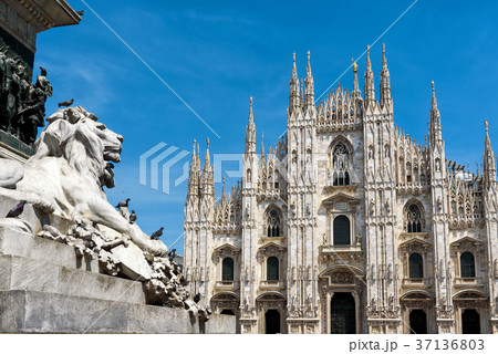 Piazza del Duomo with Cathedral in Milan 37136803