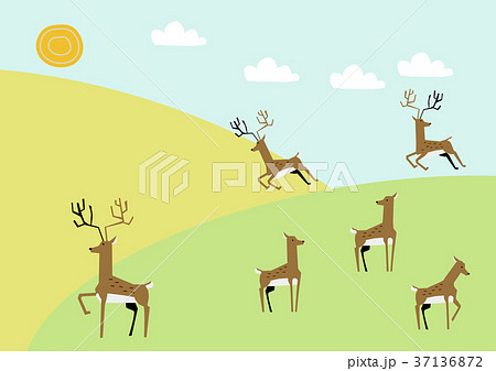 21-Hares and bear spring parts 21-Hares and bear spring parts 37136872