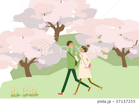 満開の桜と散歩するカップル。春のハイキング。季節のイメージ。 37137255
