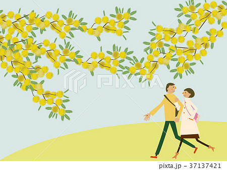 ミモザの花と散歩するカップル 春のイメージ のイラスト素材
