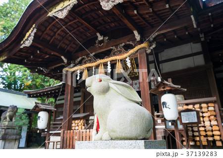 京都　岡崎神社　 37139283