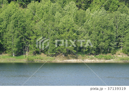 北海道 置戸町 鹿ノ子ダム 北海道 置戸町 鹿ノ子ダム 37139319