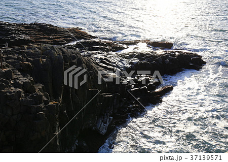 北海道　根室市　花咲灯台 37139571
