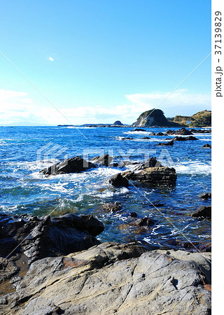剱崎 神奈川県三浦市南下浦町松輪の風景 37139829