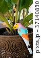 Bird ceramic statue. 37140830