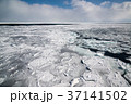 オホーツク海　網走沖の流氷 37141502