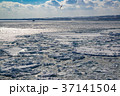 オホーツク海　網走沖の流氷 37141504