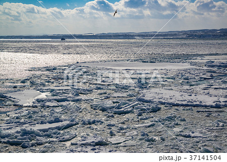 オホーツク海 網走沖の流氷 オホーツク海 網走沖の流氷 37141504